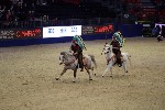Quadrille - 00308